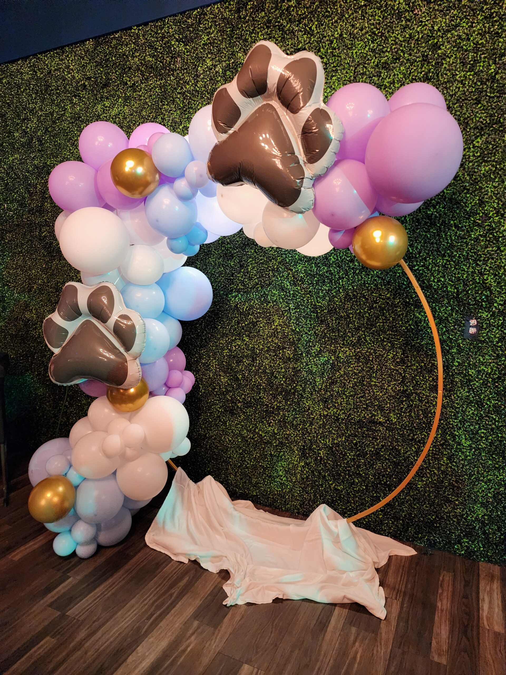 Balloon arch in front of boxwood feature wall at Rock Spring Resort event center during local charity event for pet rescue.