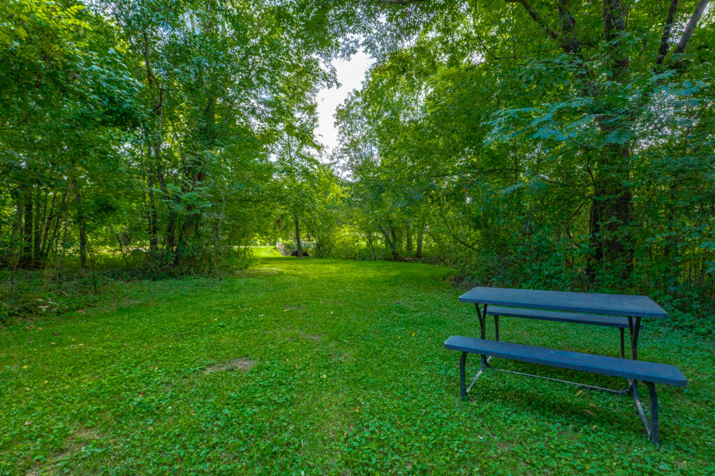 1.5 miles of trails, picnic areas, and a creek with beaver dams.